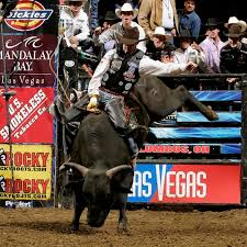 bucking bulls