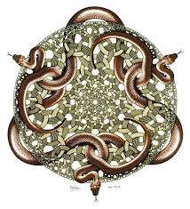 snakes images