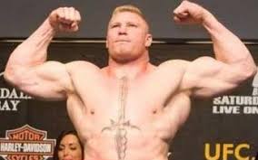 Brock Lesnar Profile