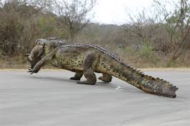 animals of the nile river