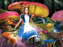 wonderland