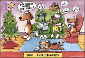 funny christmas jokes