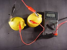 fruit battery