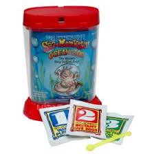 sea monkeys