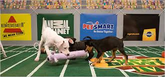 Puppy Bowl IV - Television