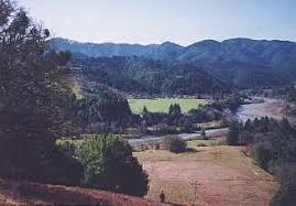 CA-Petrolia-