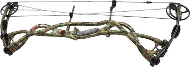 Hoyt Carbon Matrix Compound