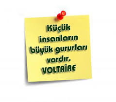 �ZL� S�ZLER