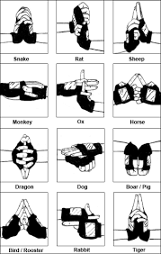 dog hand signals