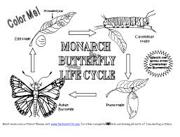 butterfly life cycle coloring sheet