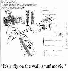 fly on the wall