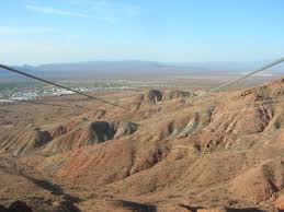 desert ecosystem