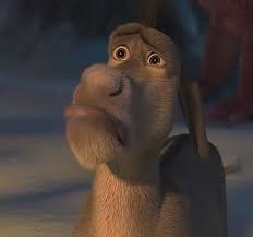 http://t1.gstatic.com/images?q=tbn:DV1RuQkcgCPU2M:http://i393.photobucket.com/albums/pp12/cstilson/shrek-the-halls-sad-donkey.jpg&t=1