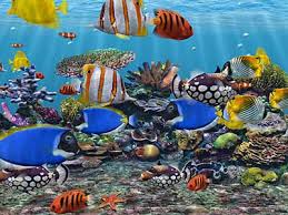 school of fish