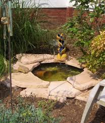 backyard fish pond