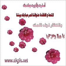 عضو جديد فهل من مرحب E79f604081e9030158486bb5c5d8