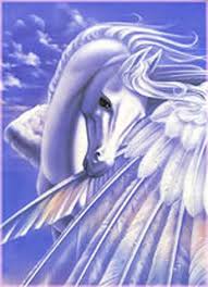 amour de cheval