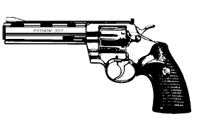 Rota Policial