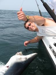 shark fishing pictures