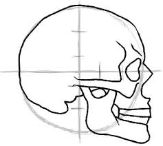 how to draw a skull