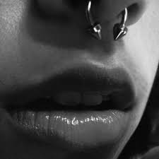 septum