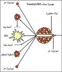 اكتشاف فريد 1239315036132