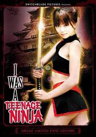 ninja japanese