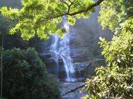 Campo de treinamento (Kyonmaru) Bxk8733_rio-cachoeira-floresta-tijuca-1800