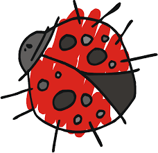 ليدي بيرد Ladybug