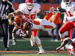 of the Cincinnati Bengals