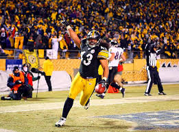 troy polamalu