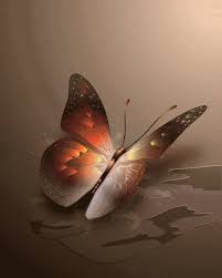 animated gif butterflies