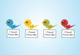 animated bird pictures
