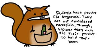 funny cartoon pics