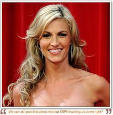 Erin Andrews hot