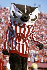 Badger Football