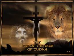 lion of judah