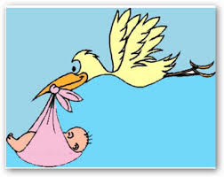 Mostra immagine a dimensione intera