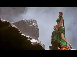tollywood navel