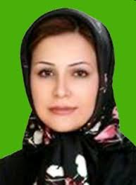 Neda Agah-Soltan