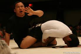 kron gracie