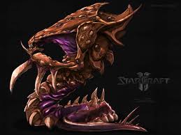 zerg_1600x1200.jpg