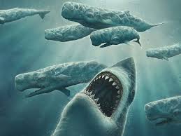 3D Underwater Wallpaper