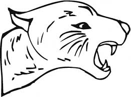 bobcat coloring pictures