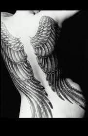 angel wings photo