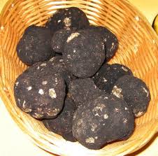 Truffles - Its all about