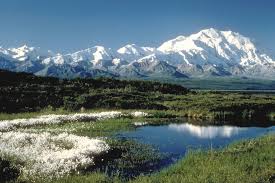 denali national park