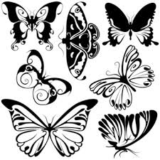 large butterflies