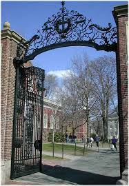 harvard university