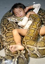 python